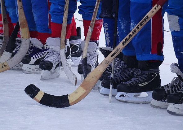 Молодой «Спутник» участвует в областном первенстве по хоккею с мячом
