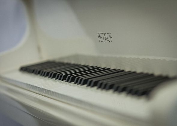 Для ГДК купят белый рояль 