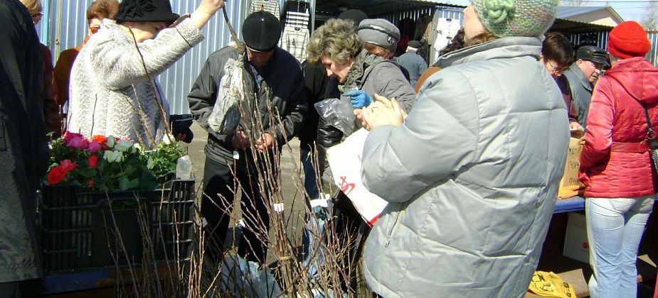Мэрия утвердила даты ярмарок на апрель
