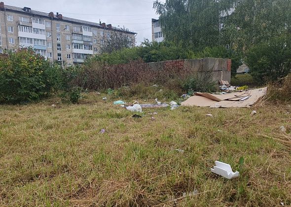 Жильцы дома по Пролетарской все лето терпят мусор вокруг контейнерной площадки