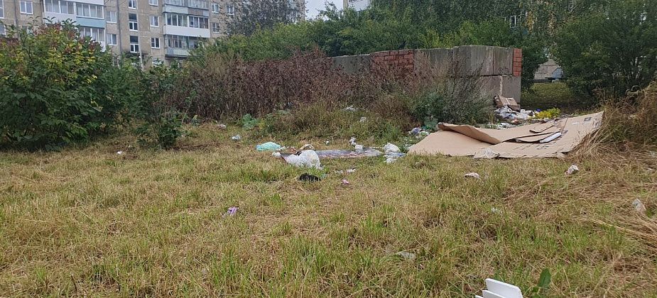 Жильцы дома по Пролетарской все лето терпят мусор вокруг контейнерной площадки