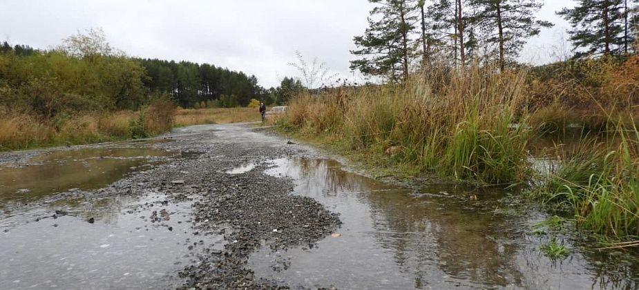 Дорогу на классенские сады подтапливает вода. Садоводы обеспокоены