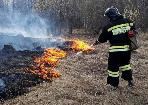 Пожнадзор просит не кидать в сухую траву окурки и бутылки. Это может привести к пожару