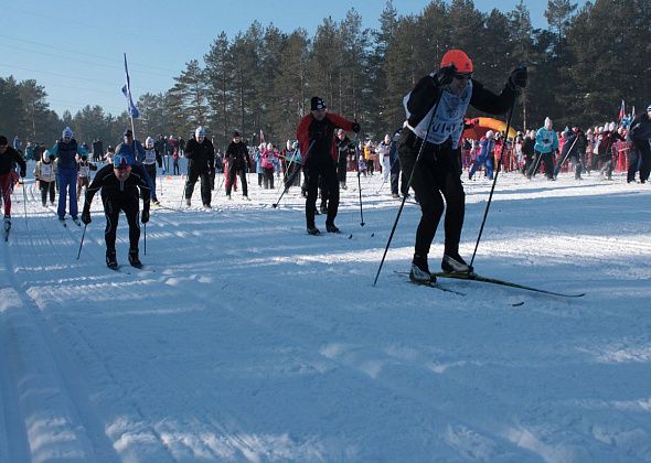 Карпинцев приглашают на самую массовую лыжную гонку