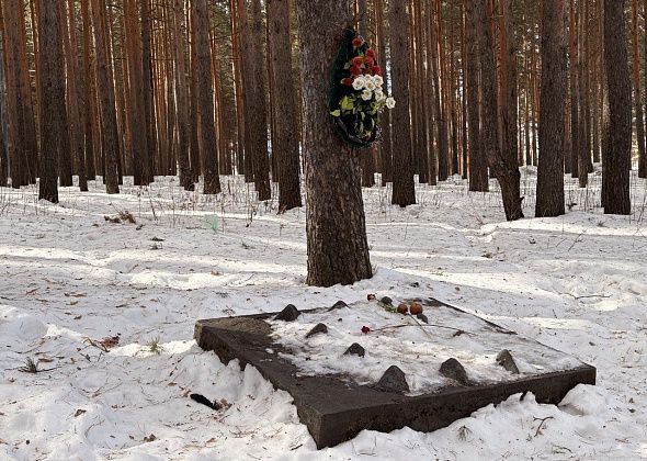 Горожане просят обратить внимание на порядок у памятной плиты в Комсомольском парке