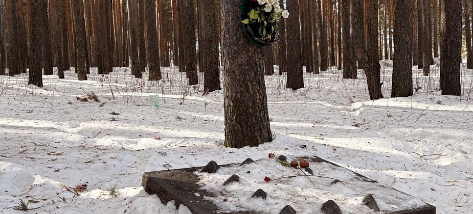 Горожане просят обратить внимание на порядок у памятной плиты в Комсомольском парке