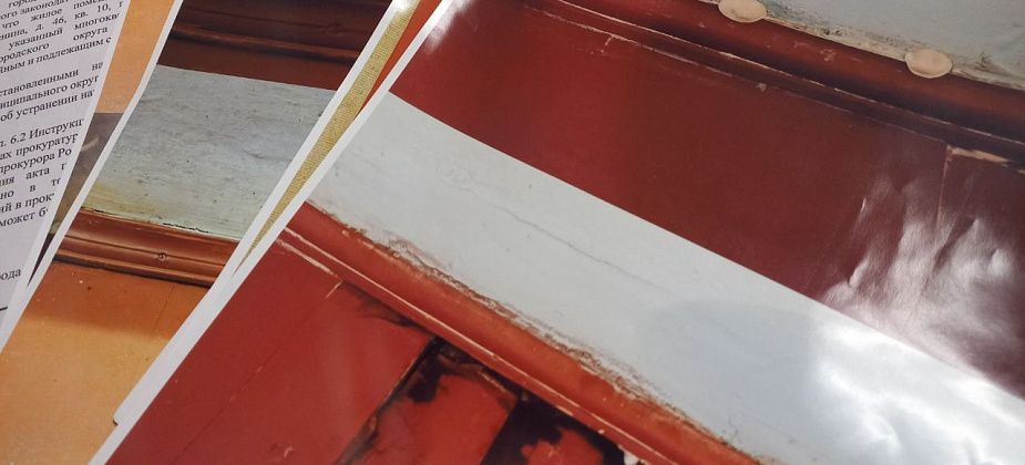 Жительница дома №46 по Ленина, которая жила в подъезде, снова жалуется на растущие в квартире грибы