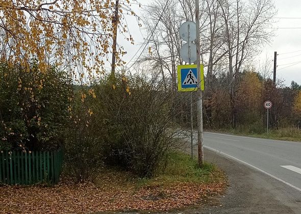 В Карпинске ищут подрядчика, который приведет в порядок городскую растительность