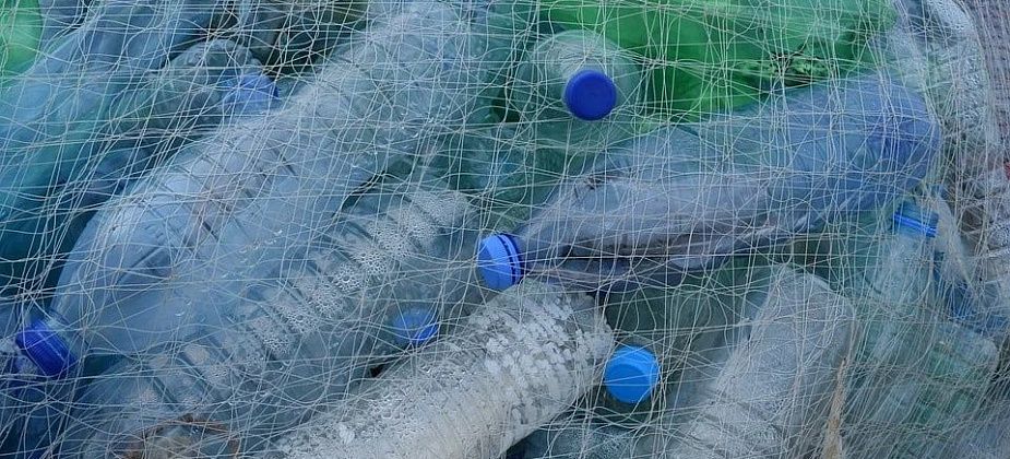 До конца года в Карпинске появятся контейнеры для раздельного сбора мусора