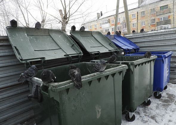 Закупка металлических контейнеров ТКО приостановлена по жалобе предпринимателя из Ростова-на-Дону