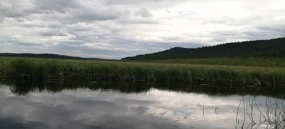 В реке Каква нашли труп мужчины. СК проводит проверку