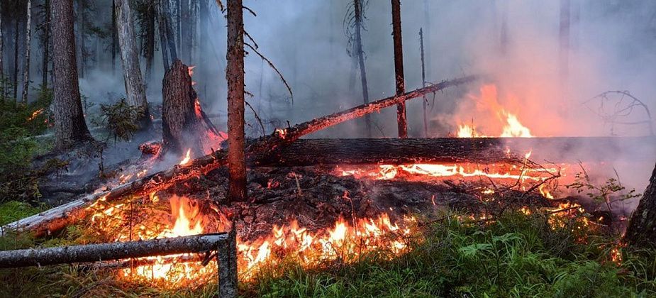 Денежкин Камень - горит 65 гектаров леса, ждут помощь из Абакана