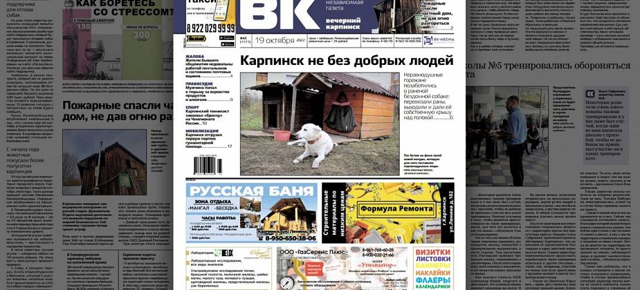 Про помощь для бездомного пса и приговор для магазинного вора читайте в свежем номере «Вечернего Карпинска»