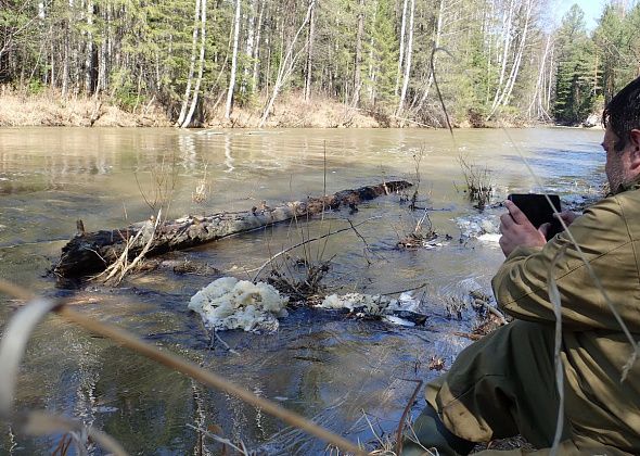 Общественники опубликовали свежие результаты анализов воды из Тальтии, Ивделя, Шегультана и Сосьвы