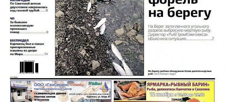 На берегу нашли дохлых рыб, ребенок выпал из окна, мужик «избивал» машины: читайте, чем жил Карпинск на прошлой неделе