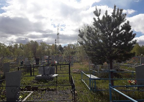 В Краснотурьинске водитель ритуальной компании воровал оградки на могилах