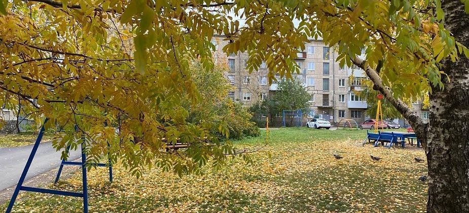 Синоптик: октябрь начнется с потепления