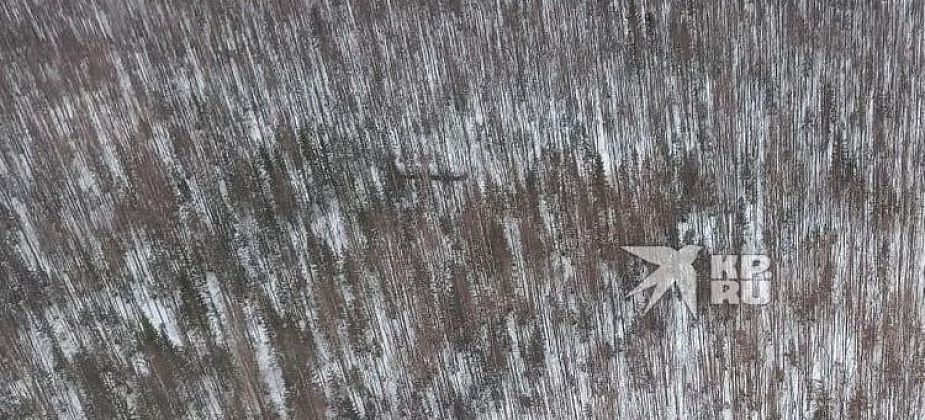 Упавшая в лесах Карпинска ступень от ракеты найдена