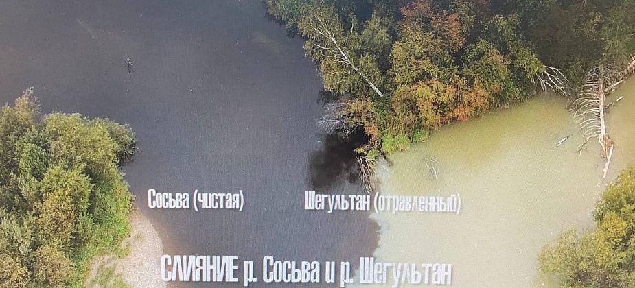 Председатель Следственного комитета России поручил проверить информацию о загрязнении реки Сосьва
