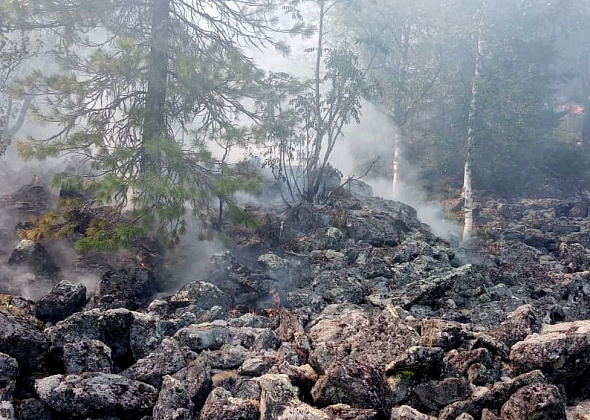В Карпинске - девять лесных пожаров. Сгорели уже больше 100 гектаров леса