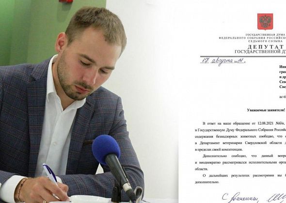 Депутат Госдумы Антон Шипулин ответил карпинским активистам на письмо о проблеме бродячих собак
