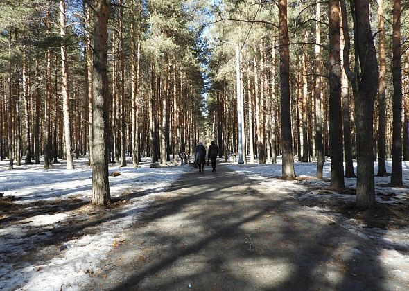 В Комсомольском парке организовано патрулирование и планируется установить видеонаблюдение