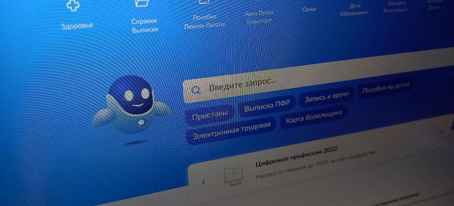 В полиции рассказали, что делать, если «паспорт не проходит проверку на сайте госуслуг, не найден в базе МВД»