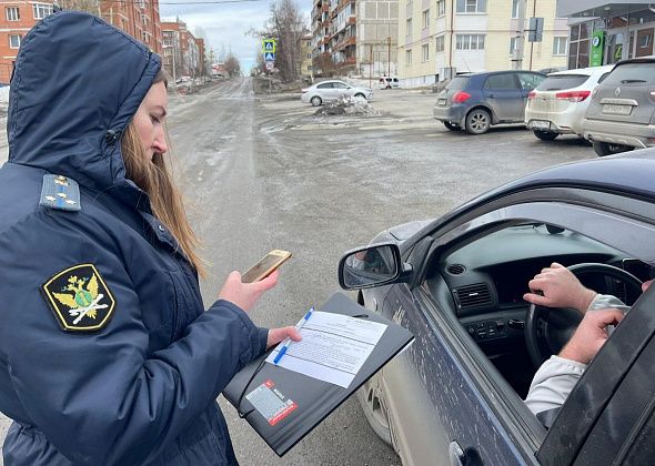 Госавтоинспекция нашла на дорогах почти два десятка должников
