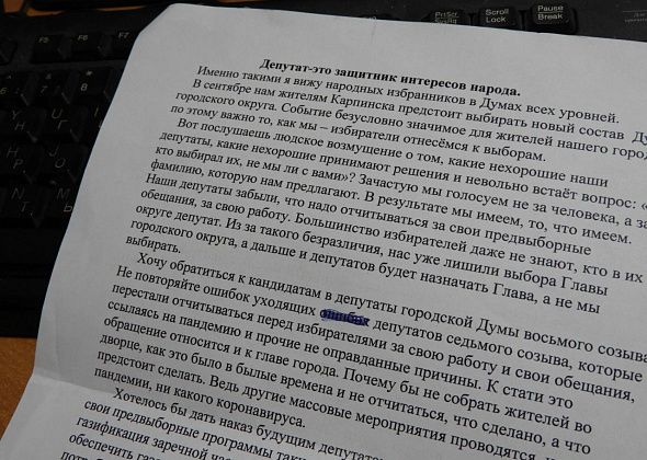 От читателя. Обращение к избирателям и будущим депутатам городской Думы