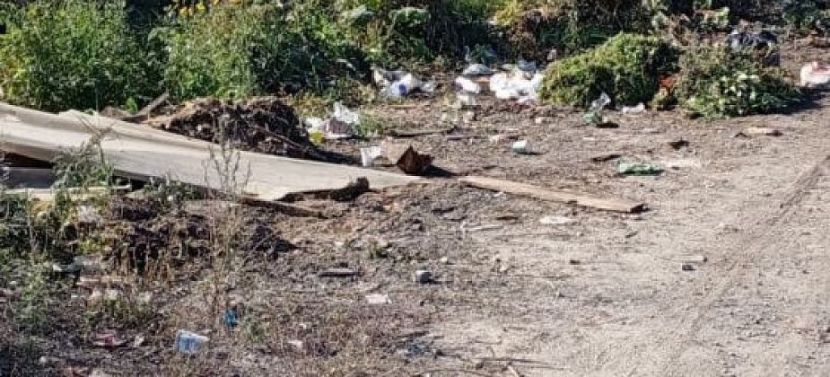 «Теперь до мусорки полтора километра»: на улице Тельмана убрали контейнеры. Люди недовольны