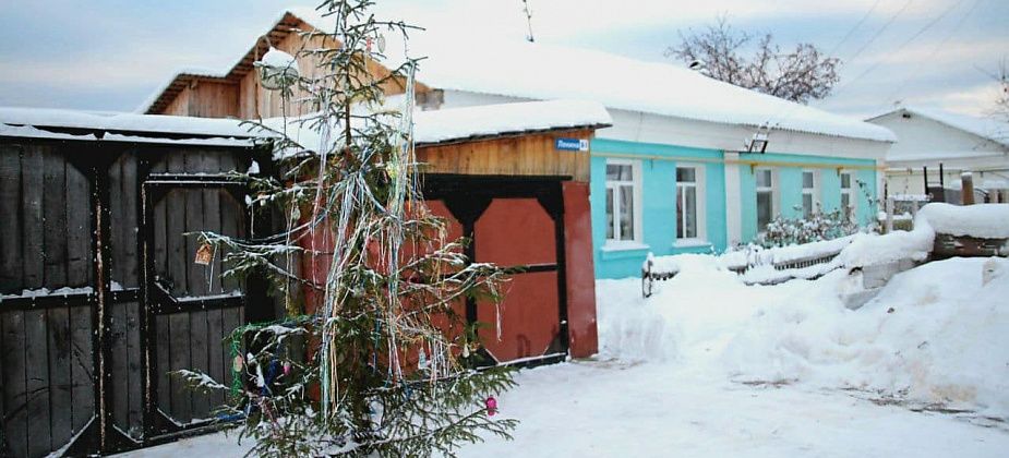 Мэрия заранее сообщает, куда можно будет выкинуть новогодние елки после праздников