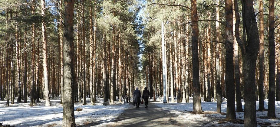 С наступлением тепла полиция Карпинска сосредоточит внимание на охрану порядка в городских парках