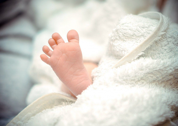 В марте на свет появилось восемь карпинцев