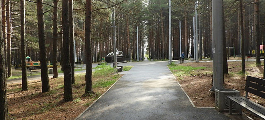 Открытие Комсомольского парка