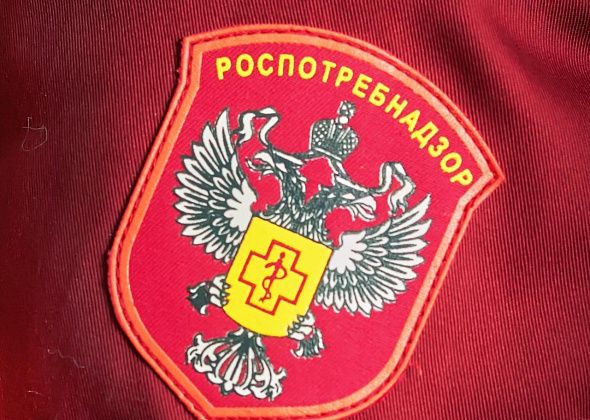 Карпинские дети стали победителями и призерами творческого конкурса от Роспотребнадзора