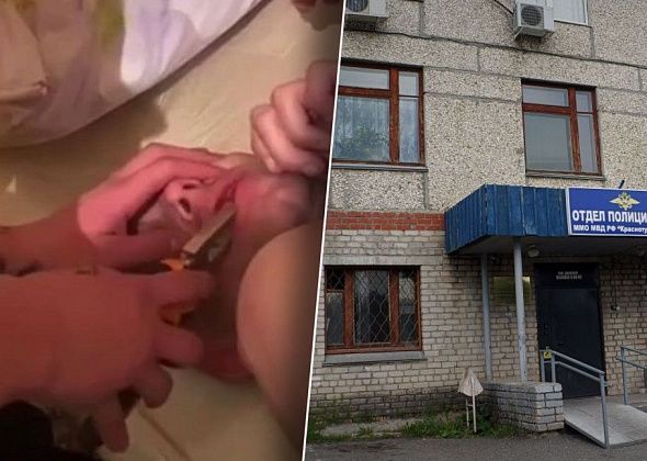 В полиции прокомментировали волчанский инцидент и заверили, что все причастные лица установлены