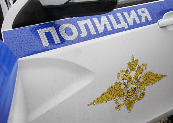 Госавтоинспекция проверяет грузовой транспорт 