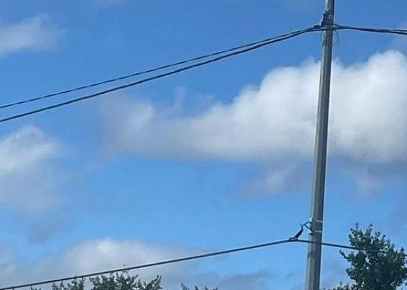 Карпинца привлекли к ответственности за нелегальное подключение своего дома к электросетям