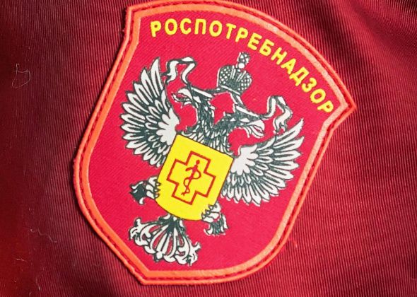 Роспотребнадзор готов проконсультировать горожан по вопросам платных образовательных услуг