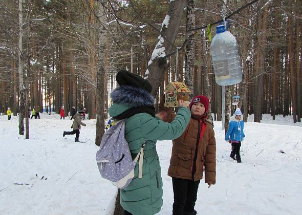 Карпинские школьники развесили в парке кормушки для птиц