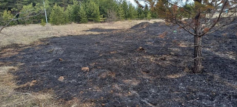 У Комсомольского парка горела трава. Сотрудники ОНД призывают горожан не баловаться с огнем