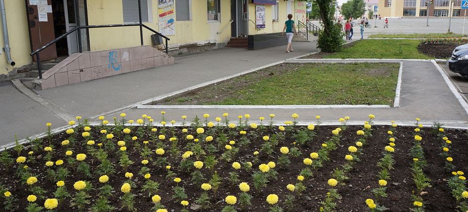 В городе посадят почти 15 000 цветов
