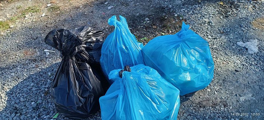 «Зеленые» активисты приглашают карпинцев на добровольный субботник в 4 км от города