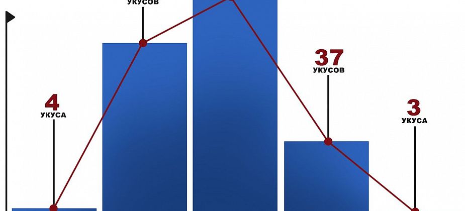 Итоги клещевого сезона – 2019 в цифрах