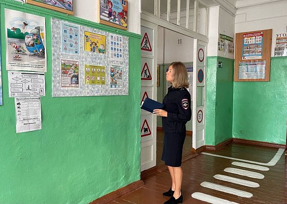 Сотрудники ГАИ проверят школы на готовность к началу учебного года