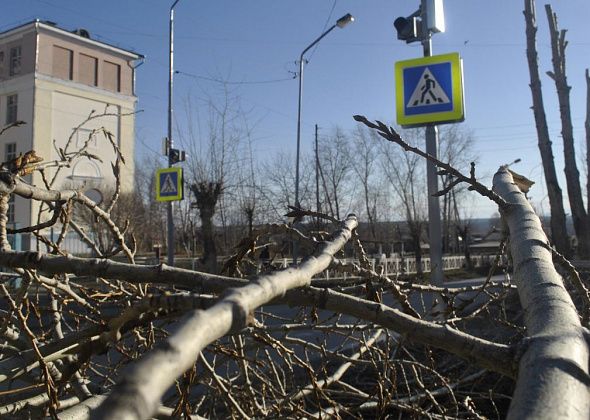 В Карпинске ликвидируют более полусотни деревьев