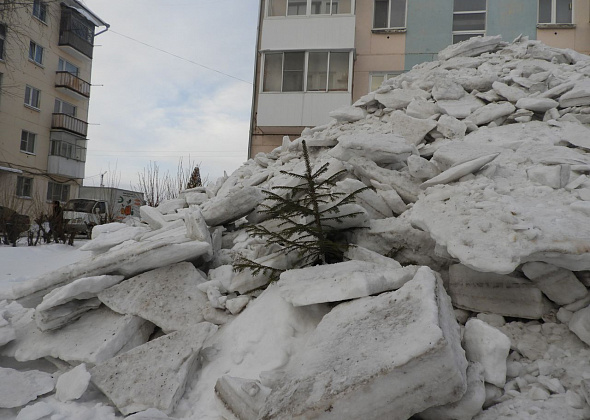 Коммунальщики засыпали снегом молодые деревца 