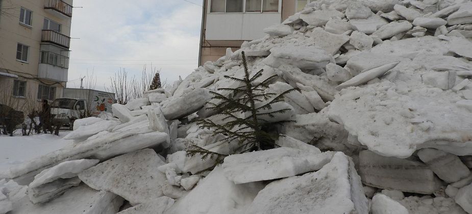 Коммунальщики засыпали снегом молодые деревца 