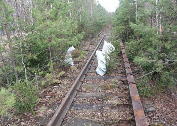 Двое жителей Карпинска разобрали железнодорожные пути под Краснотурьинском. Мужчин задержали