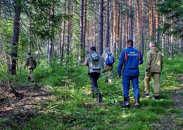 К поиску пропавшего грибника подключили собаку. Зону розыска расширяют в сторону Карпинска